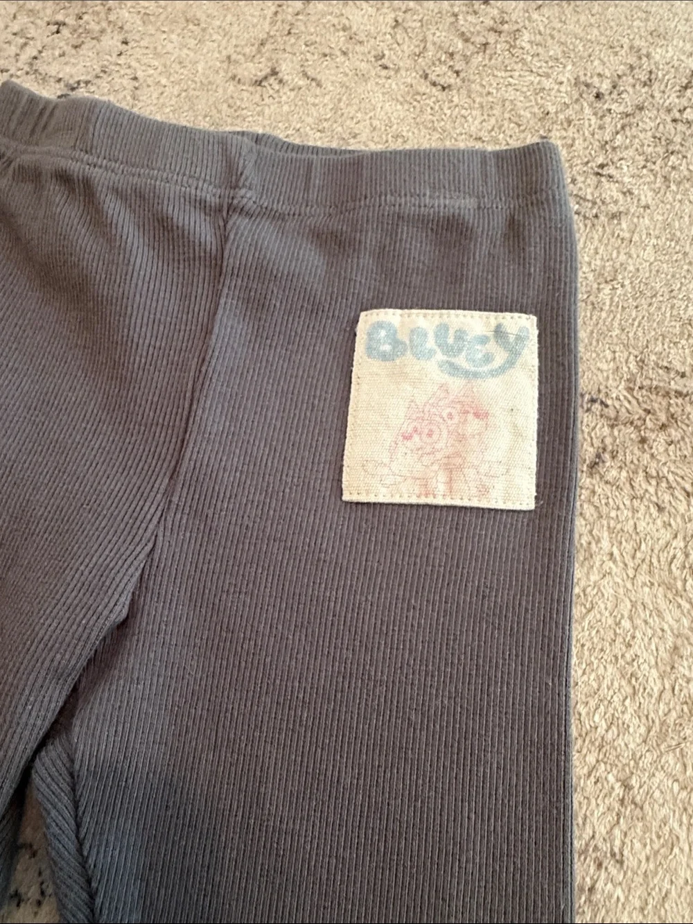 Zara X Bluey Set